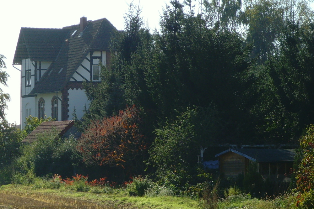 Das Empfangsgebäude, 2010