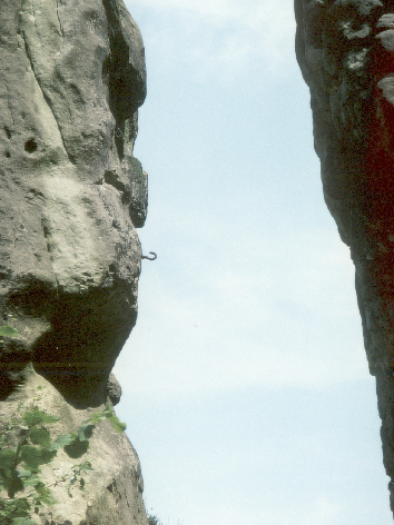 Rosette an den Externsteinen