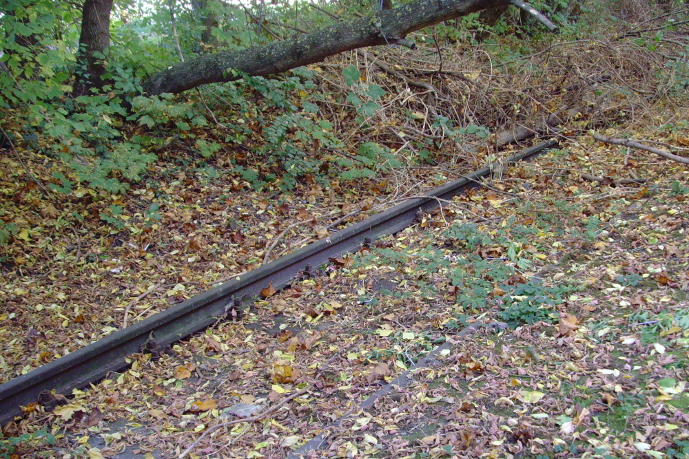 Textilwerk Behrens und Kühne, 2010