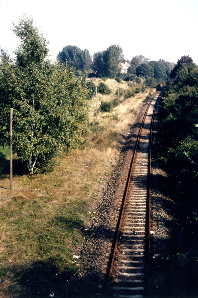 Gterbahn, 1996